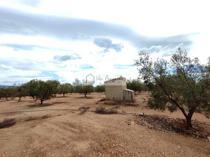 Foto 6e4e9c2c-123a-4674-a989-b6800aafeccd. Rural plot in Aldover