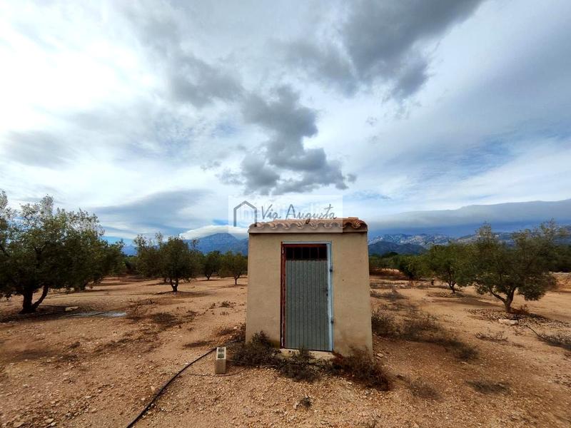 Foto e7d55923-93ef-4a40-8bc7-c1e0a0686d7c. Rural plot in Aldover