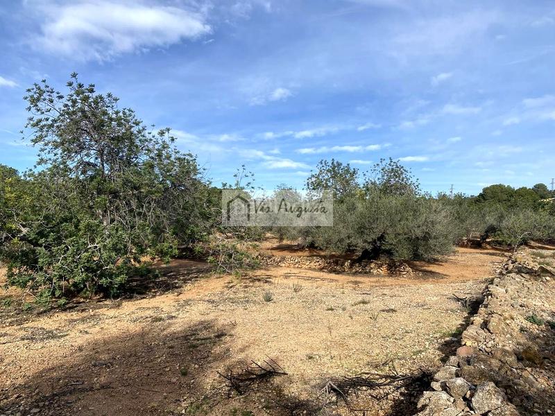 Foto 708b79aa-8983-410c-8e9d-b2b8a4003e28. Fondo rustico in Ampolla (L´)