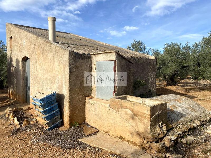 Foto 83498ce6-de61-4253-a1e1-3c9af5831328. Fondo rustico in Ampolla (L´)