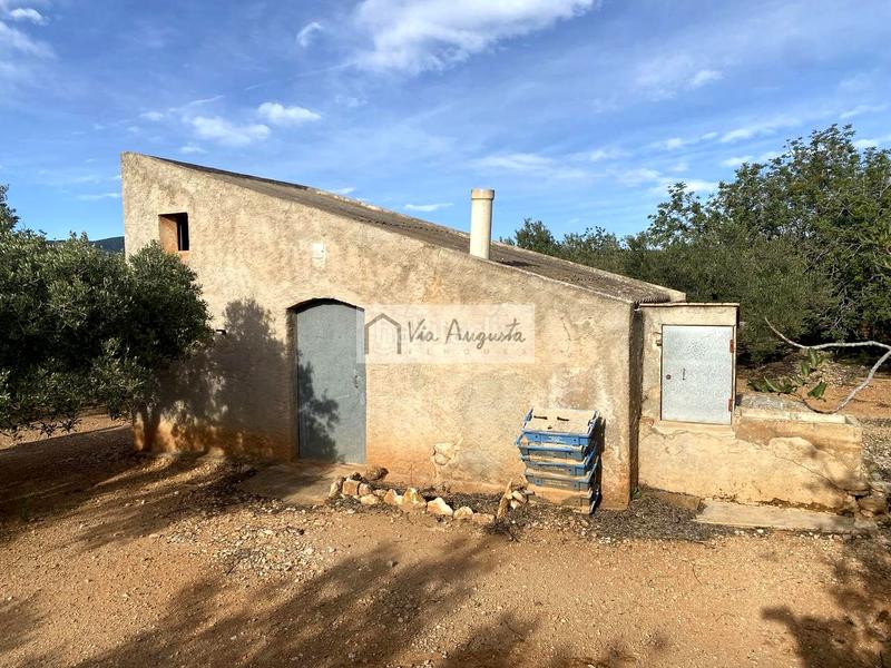 Foto dc632894-f579-4d3c-9392-7397d9d0fee5. Fondo rustico in Ampolla (L´)