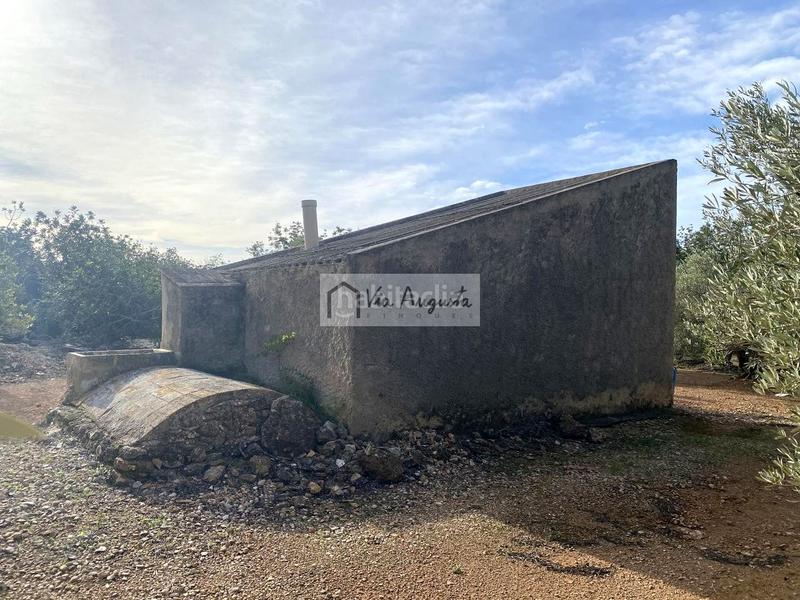 Foto e255ff84-728a-4540-91c3-f0c6061df417. Fondo rustico in Ampolla (L´)