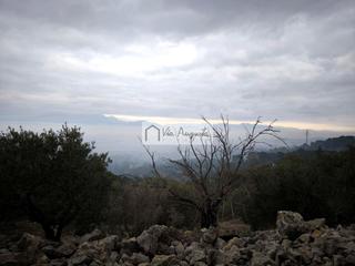 Fondo rustico  Sant llàtzer