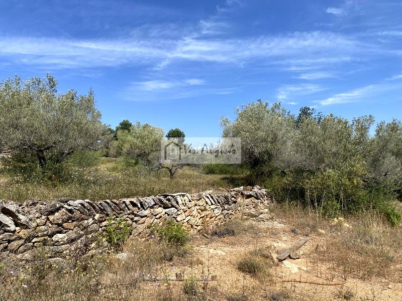 Foto 10476c8f-a3eb-4a06-b07e-51890f5f8221. Terreno residencial en Perelló (El)