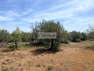 Terreny residencial  Parracoll