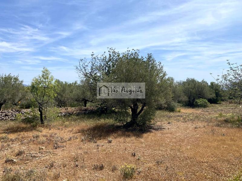 Foto 6ca01caf-8a52-4545-b00f-6b5a17fdca25. Terreno residencial en Perelló (El)