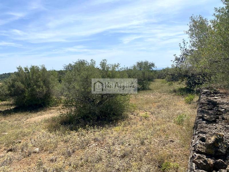 Foto a1a35ba4-6078-4e25-a4a5-ffe64962318e. Terreno residencial en Perelló (El)