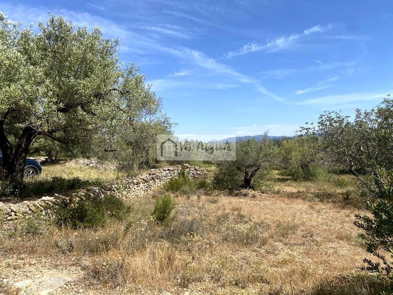 Foto a59c5b2e-e1c7-4fa9-b10c-84ffc4f08b96. Terreno residencial en Perelló (El)