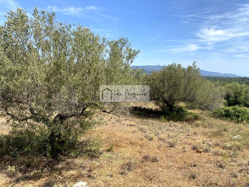 Foto 2b8ad1e6-e519-49ba-96db-b65dfcb344eb. Residential plot in Perelló (El)