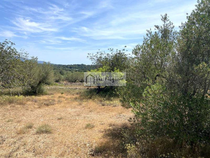 Foto 3b528d3a-c054-4f9d-8e94-213dd772b375. Residential plot in Perelló (El)