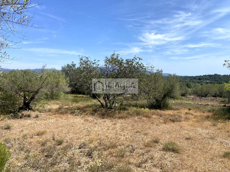 Foto 93802437-3330-42e9-86e3-ca744fdaa08f. Residential plot in Perelló (El)