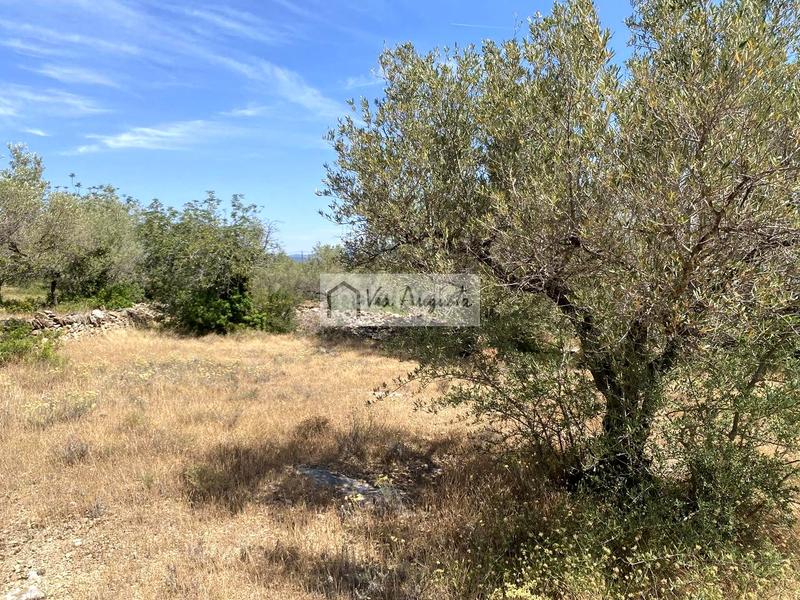 Foto d654e1ef-4118-4c19-8a32-c25cfd914802. Residential plot in Perelló (El)