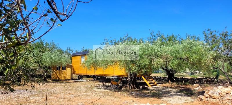 Foto 8239d022-aace-4374-b3e5-277cb1eeda28. Casa en Roques Daurades-L´Estany Ametlla de Mar (L´)