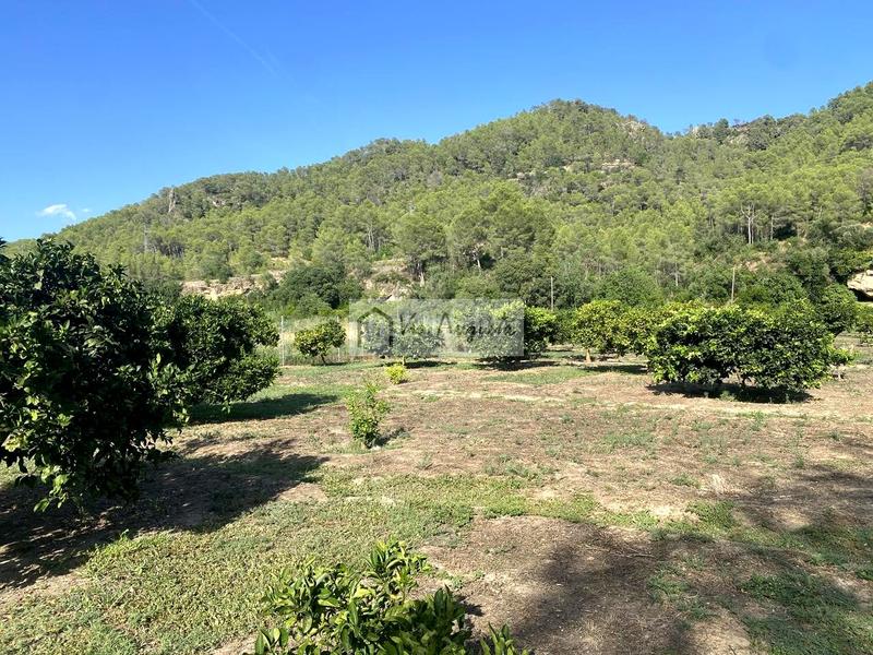 Foto 0296480f-ecfa-4de4-9af8-b75412002703. Finca rústica a Miravet