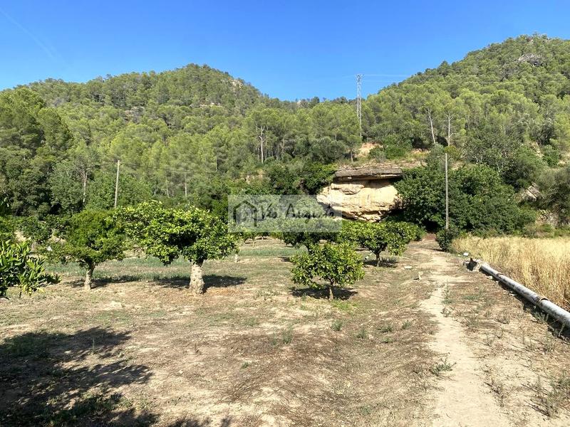 Foto 3b3bbb85-2b45-4668-9610-b225124c1133. Finca rústica a Miravet