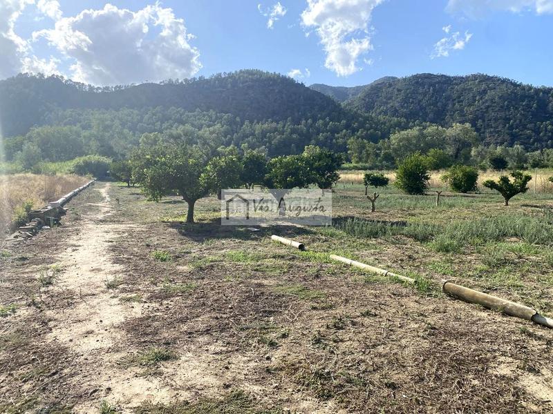 Foto 4b4a21f3-fff1-458d-8907-2a1b09cf212c. Finca rústica a Miravet
