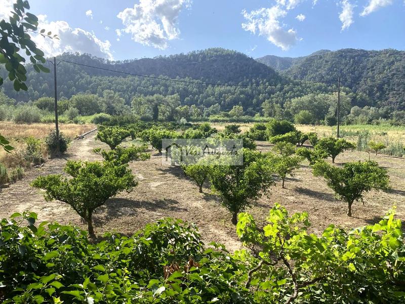 Foto 9455b14a-f70d-4e81-b590-4865755235f3. Finca rústica a Miravet