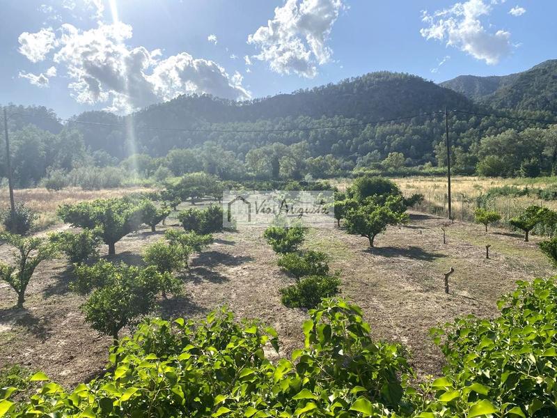 Foto c6243b25-619b-44f7-9311-426f2340389d. Finca rústica a Miravet