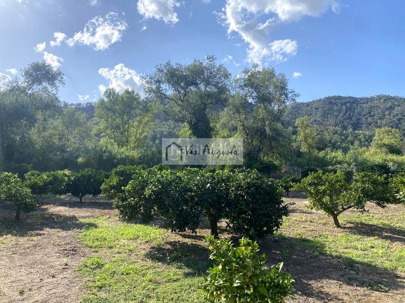 Foto 4cdf30e2-3de5-45e8-94e9-4e4f57008816. Finca rústica en Miravet