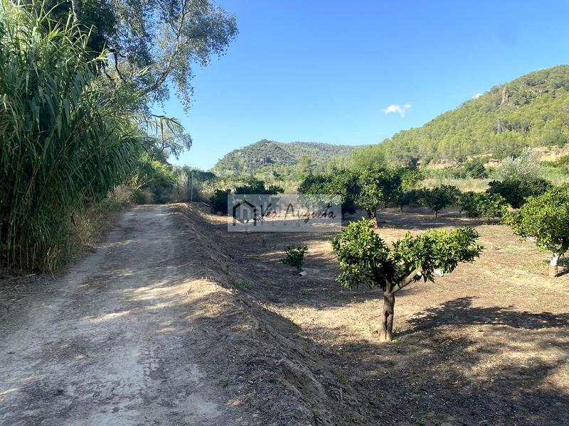 Foto 7e9370f7-d6e4-42e2-a907-ccea18a02634. Finca rústica en Miravet