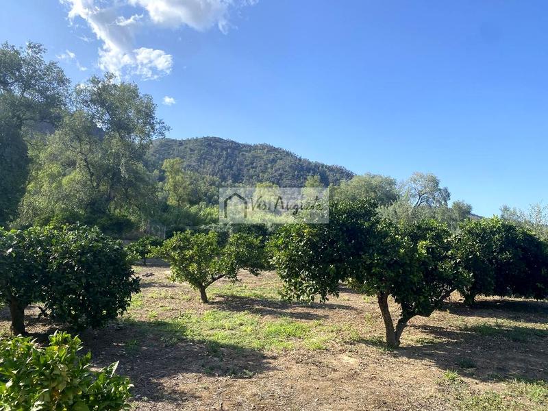 Foto bc9b9e84-5b4c-4070-a7f2-e897958b3778. Finca rústica en Miravet