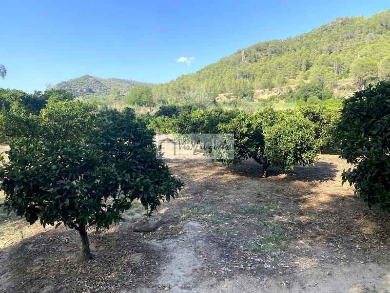 Foto d9477da3-af03-473c-b808-8bd41bf99df0. Finca rústica en Miravet