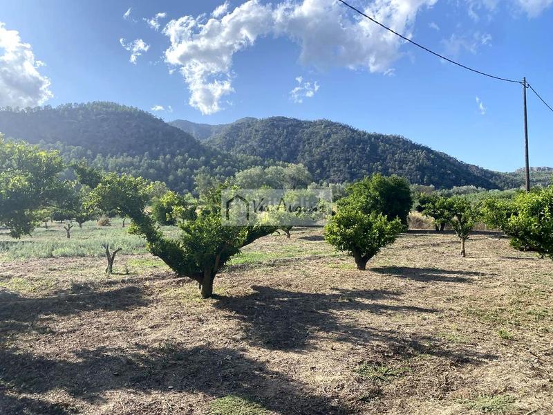Foto ec37dbb1-7672-4d46-835d-8db31f02ab9e. Finca rústica en Miravet