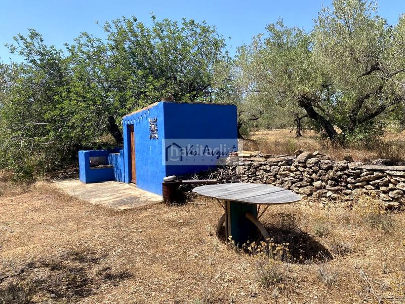 Foto 1e11acd2-3992-495d-8fcd-c9358a22a55e. Fondo rustico in Perelló (El)