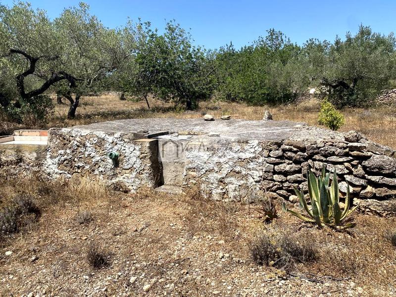 Foto 6cc0e1a7-b6ed-43bc-be3b-c9850d35535d. Fondo rustico in Perelló (El)