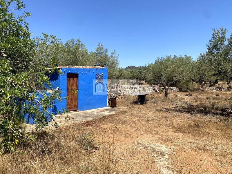 Foto 71429a10-1f6f-4956-948d-5156149d18ea. Fondo rustico in Perelló (El)