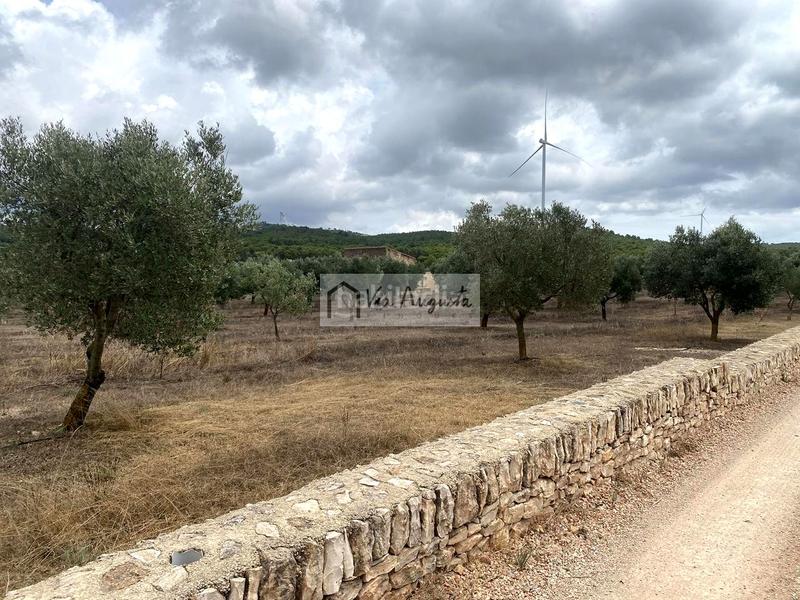 Foto 7344f88b-bf30-4973-a6d9-dafd02a1d458. Finca rústica a Perelló (El)