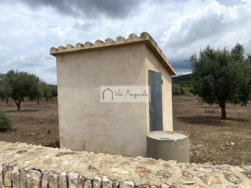 Foto 85be6a3a-3712-4653-96b1-7695368b3a21. Finca rústica a Perelló (El)