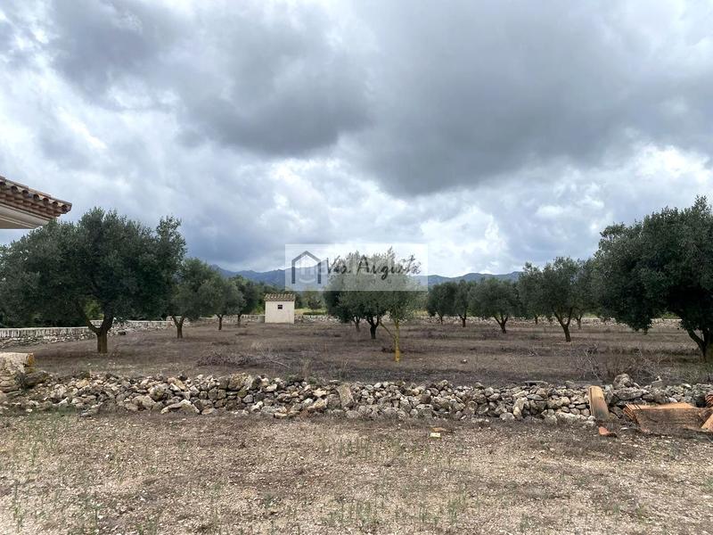 Foto a6dfc0db-5859-4f07-a8d8-2420b68a99b0. Finca rústica a Perelló (El)