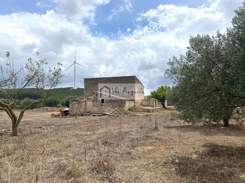 Foto b39b1025-36b1-4e3f-b098-9155b56c9e74. Finca rústica a Perelló (El)