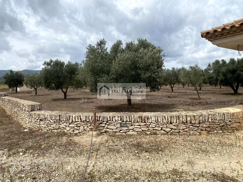 Foto d8d39d59-e5a9-4b80-b533-8d14ad0286e9. Finca rústica a Perelló (El)