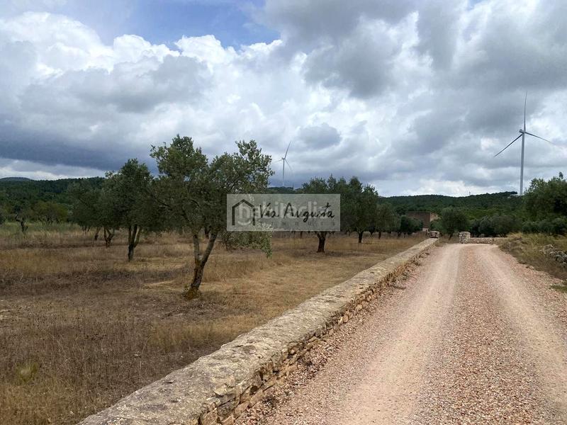 Foto fa89ac03-f35f-4884-9dcf-e9e1904ec8e6. Finca rústica a Perelló (El)