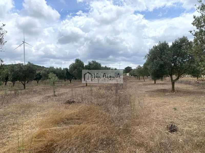Foto bb2a38a6-bceb-425a-a335-b91d17d64759. Finca rústica en Perelló (El)