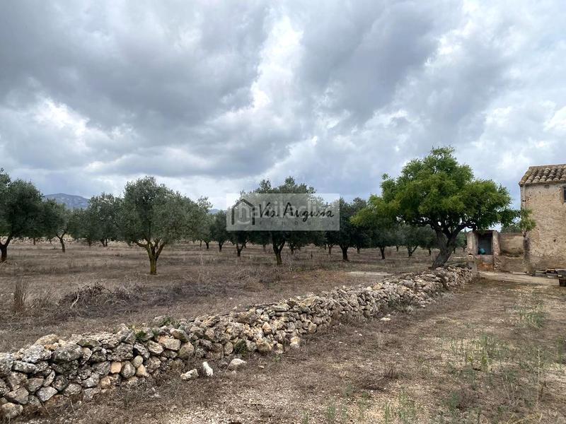 Foto d994174f-e313-43ed-833b-a36af023521c. Finca rústica en Perelló (El)