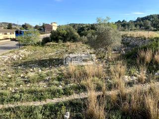 Terreny residencial  Carrer romer
