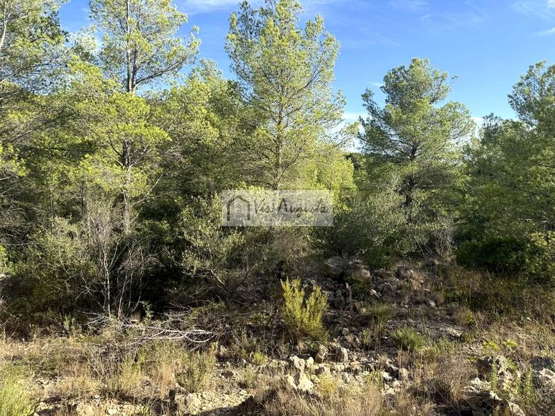Foto 0011a003-cf63-4e5e-8334-8c911d1c7ed1. Landgut in Perelló (El)