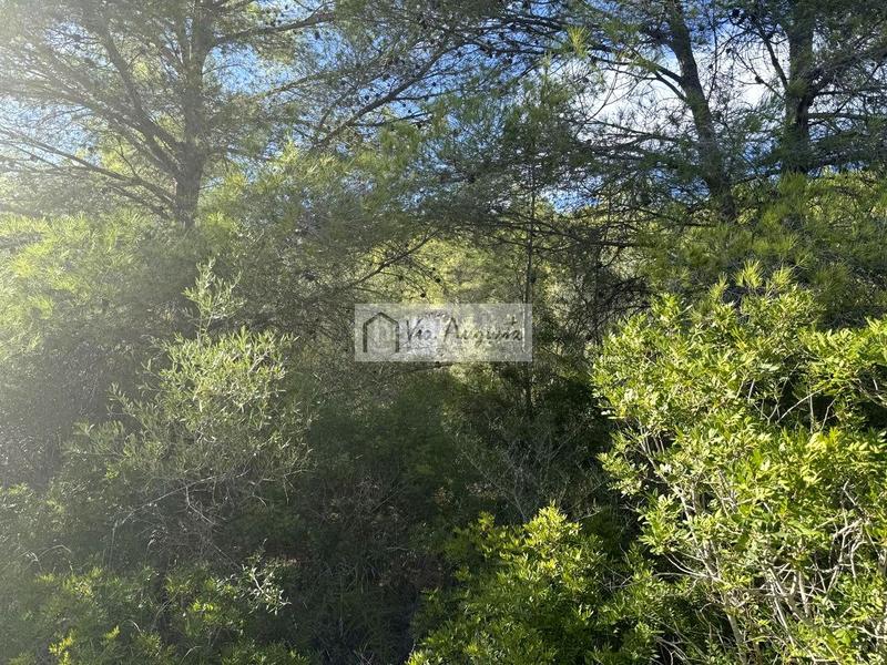 Foto 06a94b7a-2d9c-4026-86bd-e02311ed03ec. Landgut in Perelló (El)