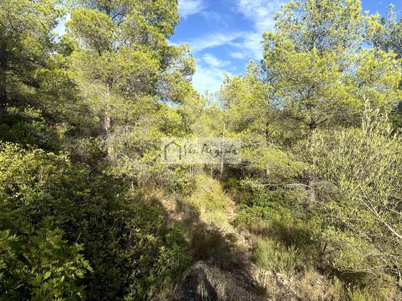 Foto 07c3e207-04be-49a5-b811-63e0810d09a4. Landgut in Perelló (El)