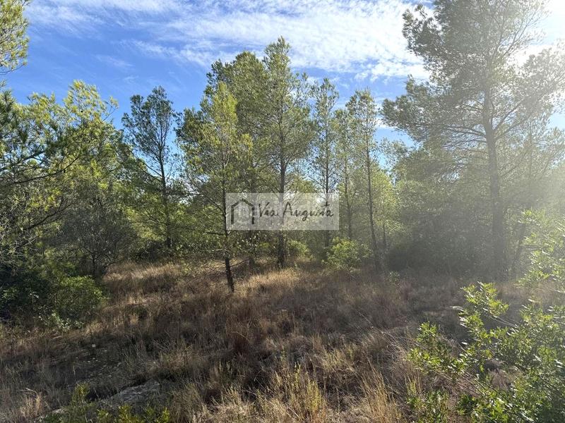 Foto 2a2e0eb1-64dd-4f08-9c1a-975cf21dfda3. Landgut in Perelló (El)