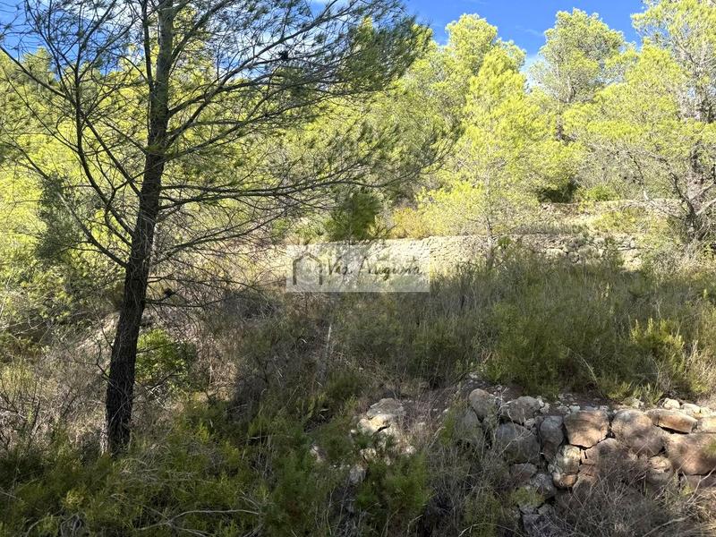 Foto 4a0bb328-2765-42d2-8332-b48a6a43fc64. Landgut in Perelló (El)