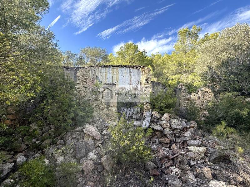 Foto 4c69b6dc-34f0-4d24-90f3-2f9b4397b058. Landgut in Perelló (El)