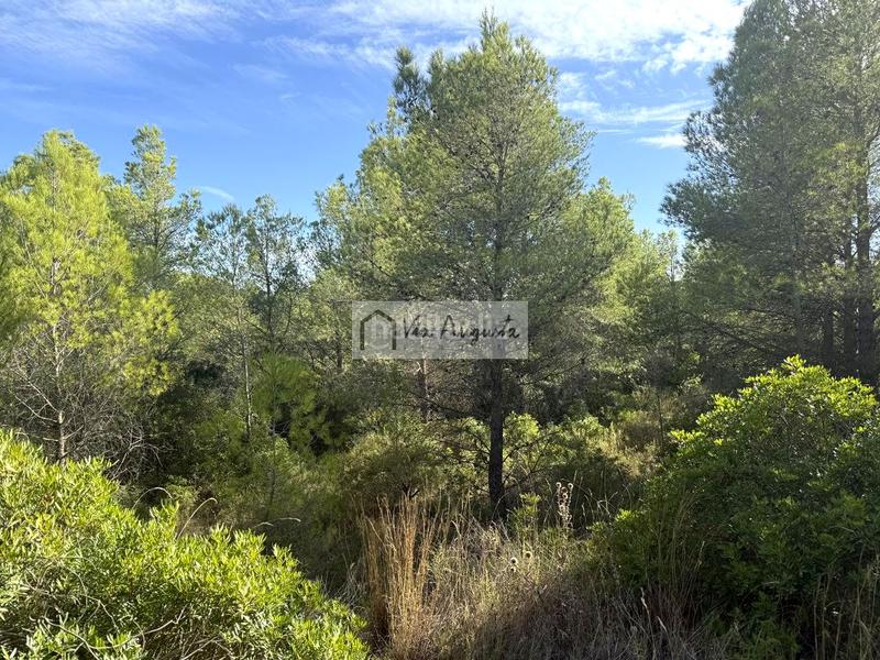 Foto 6710e6e1-db33-415a-9d73-c94f3c6f02cc. Landgut in Perelló (El)