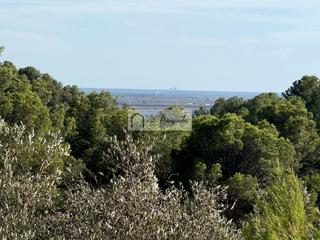 Landgut  Bassa del mig