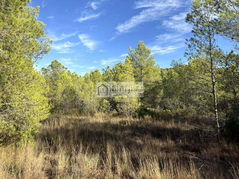 Foto 8212fa85-0607-4ec7-8723-131bf839ae83. Landgut in Perelló (El)