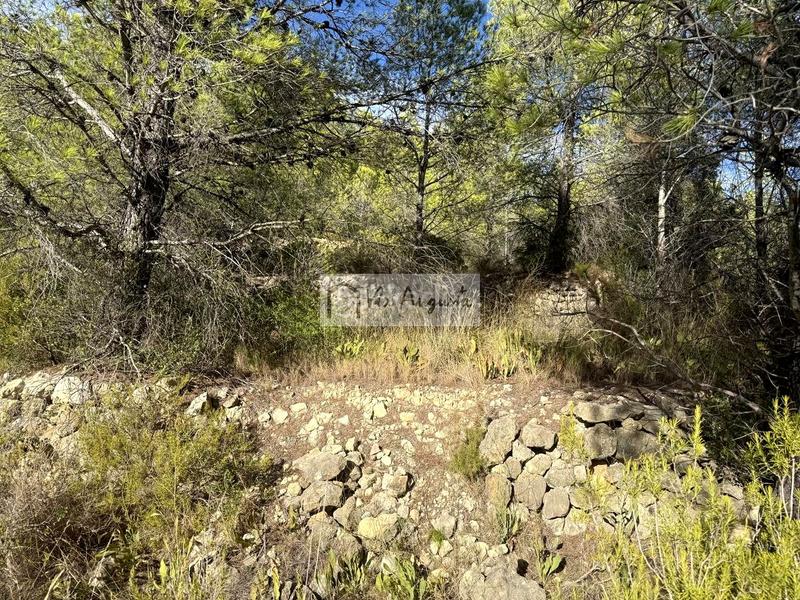 Foto a5953959-1ce4-4da2-9ac2-06cb098c9639. Landgut in Perelló (El)