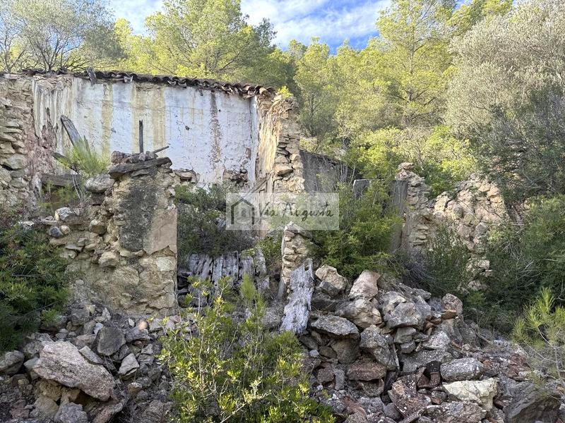 Foto ac46604c-08cd-4d22-af39-791bdc8f553b. Landgut in Perelló (El)